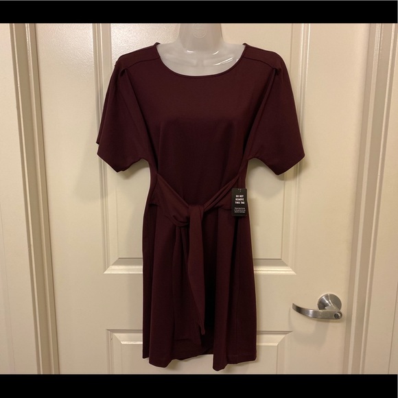 Express Dolman Dress - Picture 4 of 6